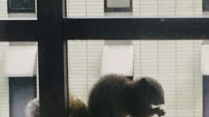雨の日のおもてなし