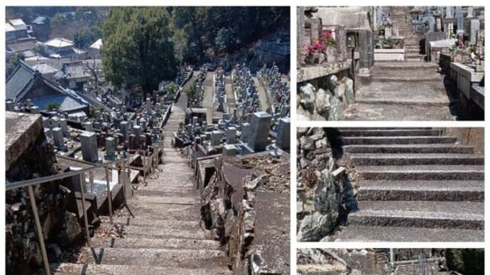 ♪ 鳥羽の春曜山西念寺、172段の石段を手すり使わず上り下りし、花追い旅に備えている