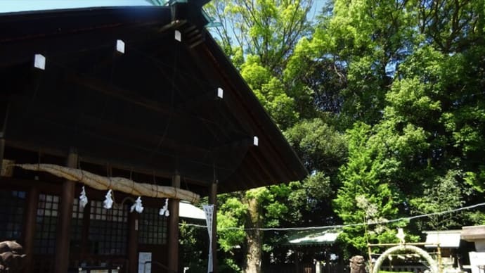 愛知県、酒見神社の”輪くぐり”へ…！