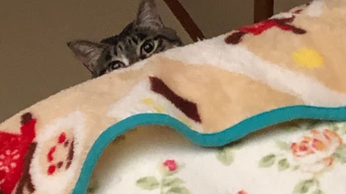 ふと目覚めたら