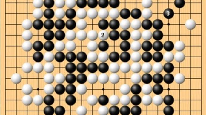 本因坊戦五番勝負第3局