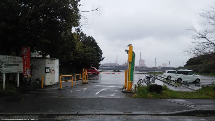 冷たい雨降る西公園!