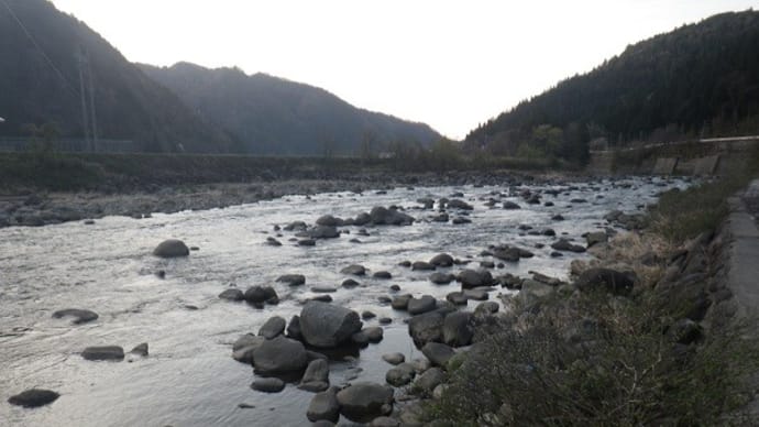 長良川本流でアマゴ釣り！