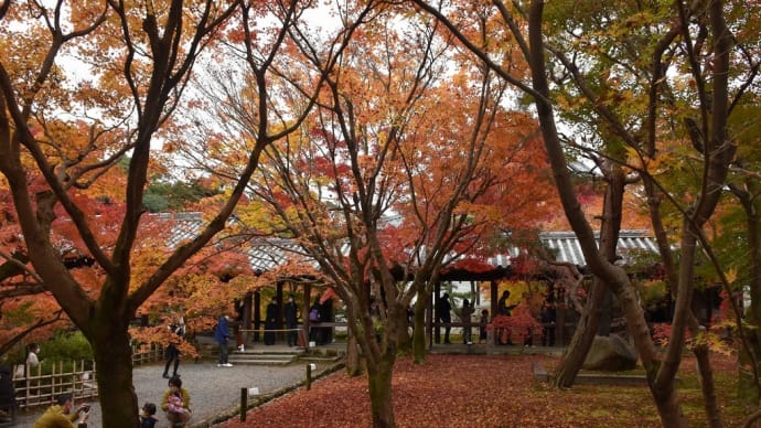もみじ狩り 京都編1日目 京都市東山区本町 臨済宗大本山:東福寺【2】-2 看楓特別拝観