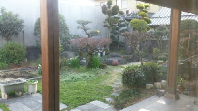 聖書の言葉 45 人は何者なので (詩編8:3,4)