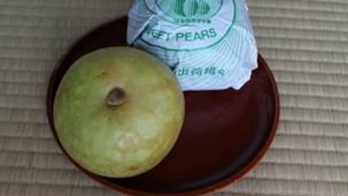 202009012お土産