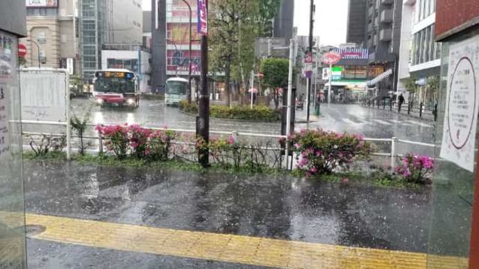 シュベール (調布) ~「 ひょう」が降ってきました!喫茶店に避難です! ~