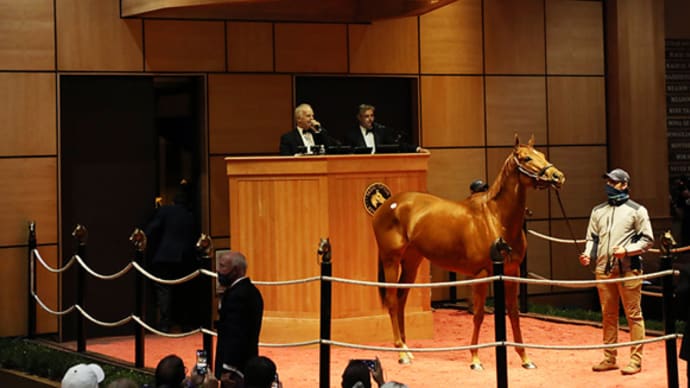 【2020 Fasig-Tipton The November Sale】が開催!(最高額馬はブリーダーズカップディスタフ(G1)勝馬MONOMOY GIRL)