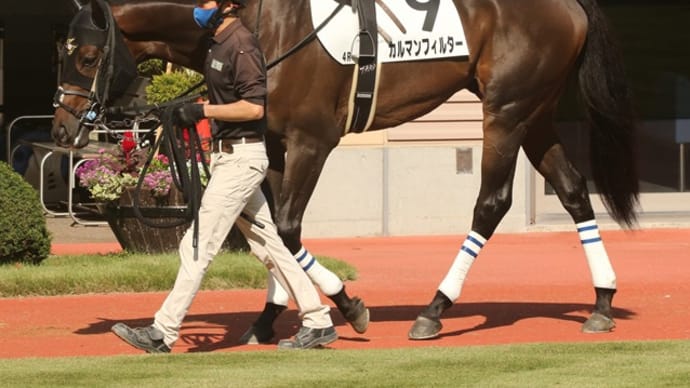 カルマンフィルター、障害3戦めは善戦し4着!