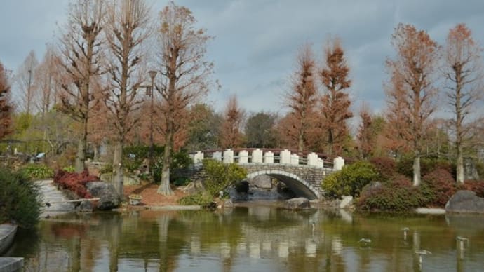 新春の草津市水生植物公園みずの森