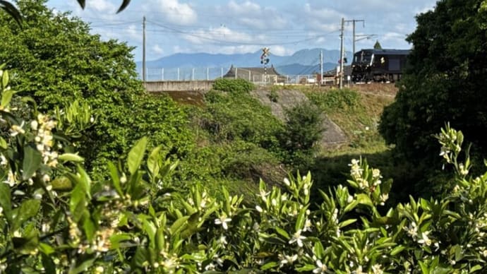 肥薩おれんじ鉄道海浦駅を通るななつ星