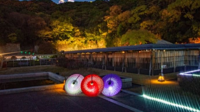 光の庭園ー2
