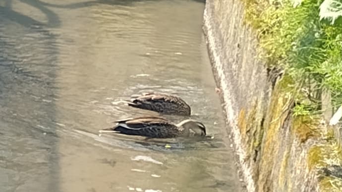 何年ぶりかな?
