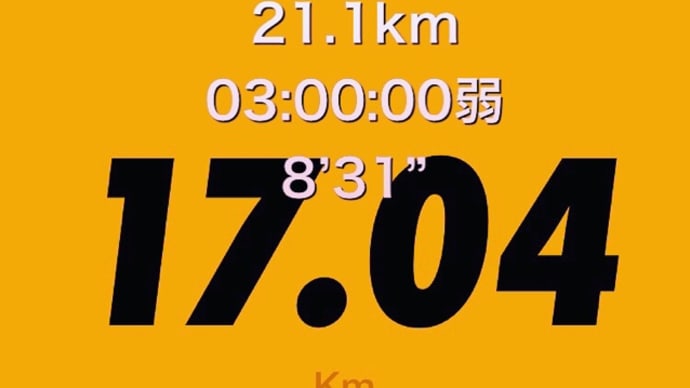 ハーフ(21.1km)走破!!