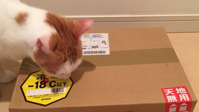 ふるさと納税の佐賀牛が届きました!