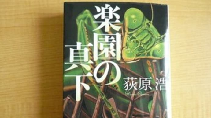 インパクトだらけ