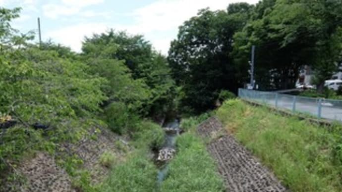 2023神奈川河川ﾎﾟﾀﾘﾝｸﾞ『境川上流』⑤寿橋～八王子バイパス