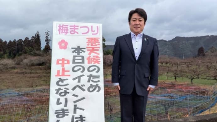 おおやま梅まつり、日田を愛する紫水会