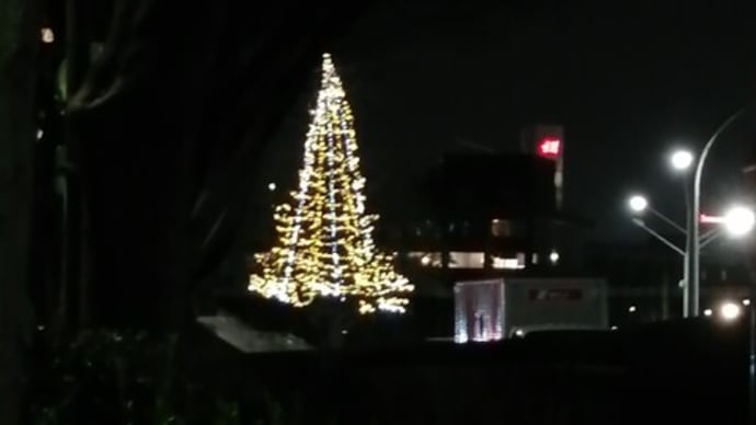 国立代々木競技場のツリー