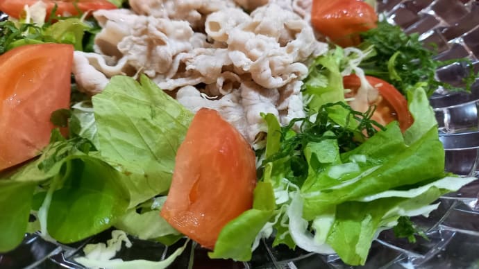 野菜多めの晩ごはん 玉ねぎ成長中