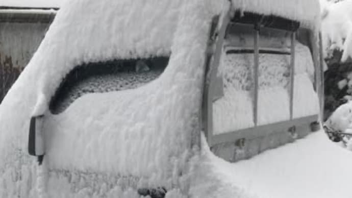 久々の大雪 ☃️
