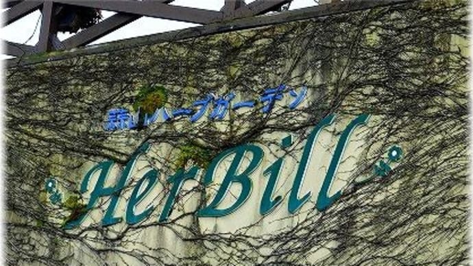 旅の思いで・・・蒜山ハーブガーデン ハービル「岡山県真庭市蒜山西茅部」