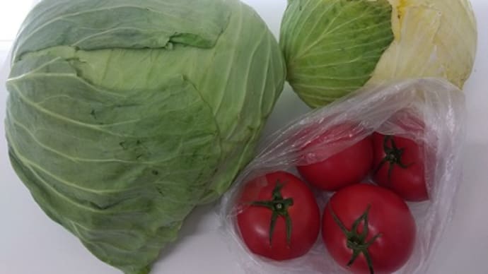 キャベツを買いに行くと、こうなる。