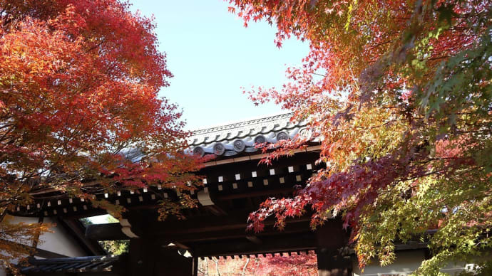 【京都幕間旅情】龍安寺,2023年最後の京都散歩の話題は龍たちの待つ石庭の寺院で今年を振り返る