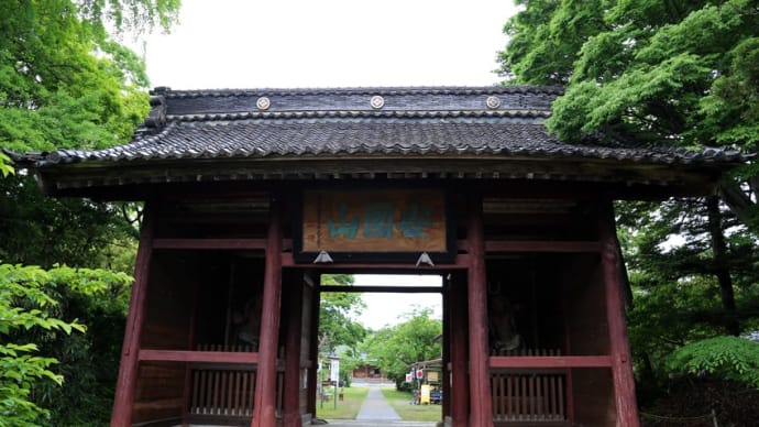安国山 五智国分寺(新潟県上越市五智)