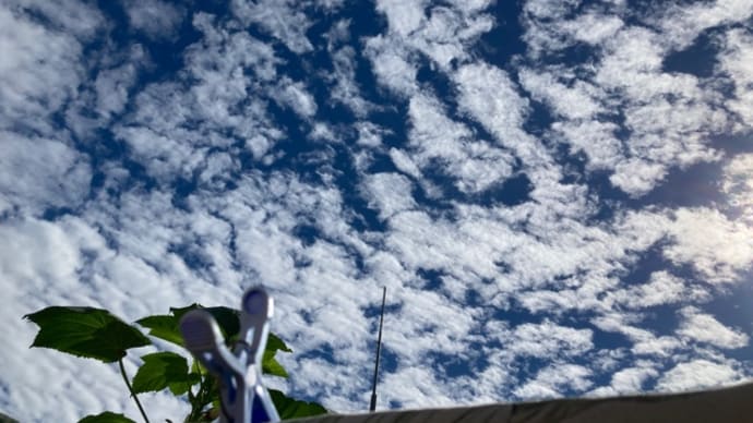 朝から青空です!