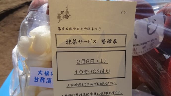 せたがや梅まつり抹茶サービス&川場村りんご~武膳ごぼう天うどん