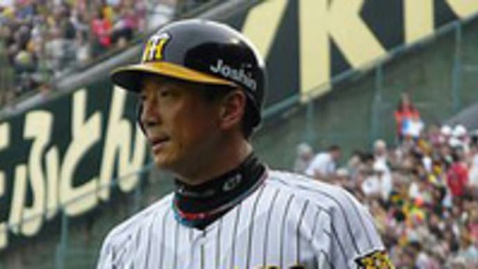 阪神 金本監督就任決定