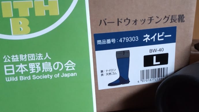 日本野鳥の会 バードウォッチング長靴