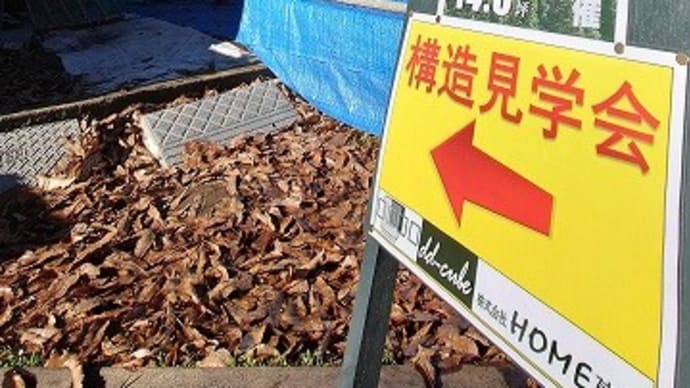千葉県鎌ケ谷市にて「外断熱高性能×DIYタイニーハウス」構造現場見学会開催中 12/17-25