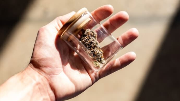 子供の大麻中毒増加…「麻薬グミ」が要因か 合法化進む米国で