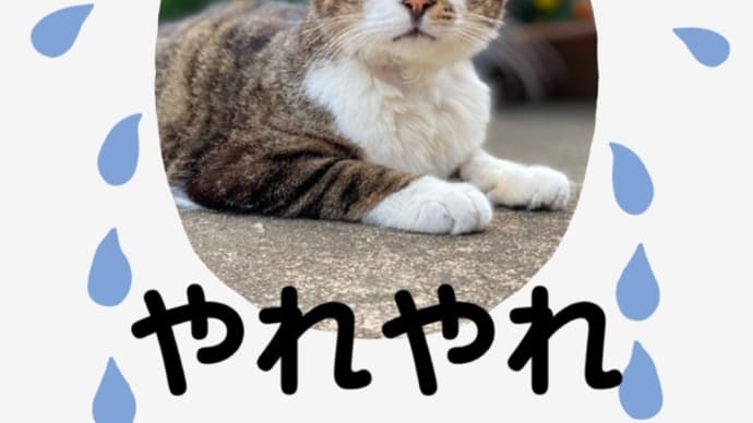 ろくおとうさんナンパされる!?の巻 ♪