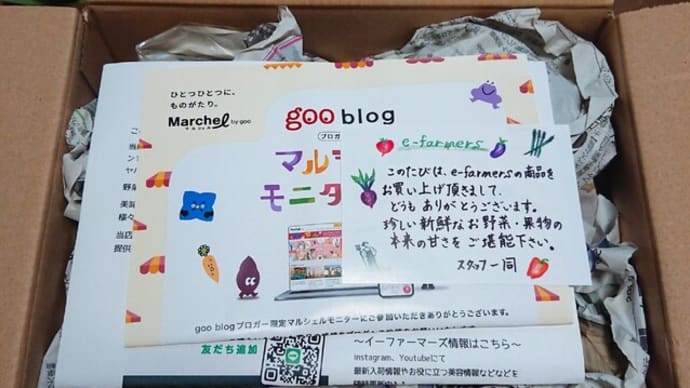*夏野菜セット*たきざわグリーン500g長野県産&新東京野菜ナス各1本