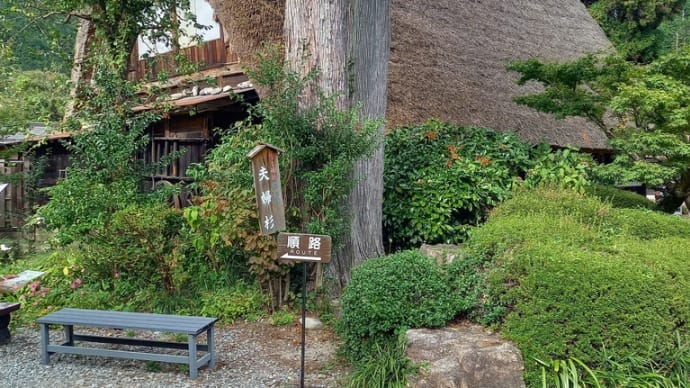 第二次岸田改造内閣発足、どのような展開になるのかな?