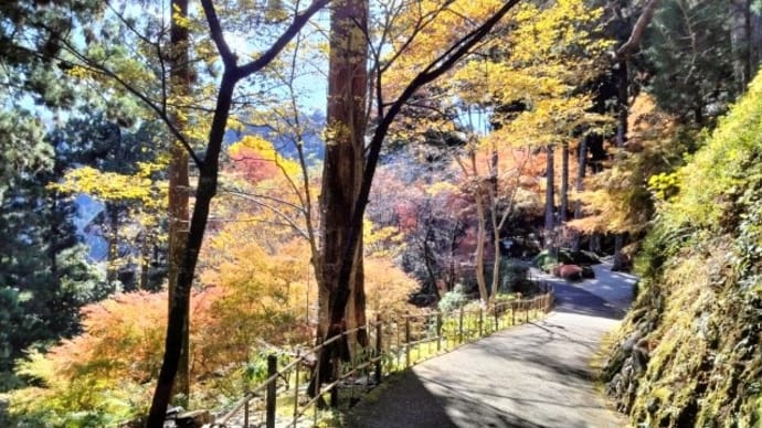 紅葉の太龍寺登山