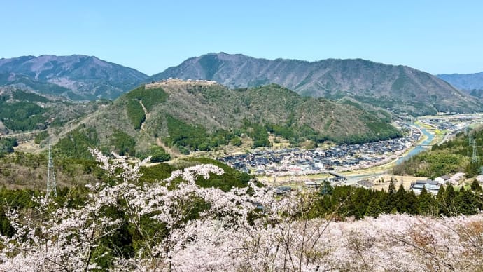 桜の立雲峡から竹田城を眺める