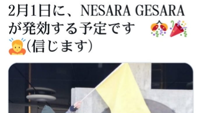 2023年2月1日に【ネサラ・ゲサラ】が発効する予定です！信じます！やはりGCR世界通貨リセット、月内に話は纏まり2月1日にスタートしそうですね！債務救済、ユニバーサルベーシックインカム！
