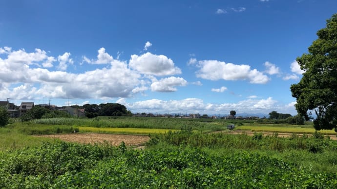 サイクリングロード