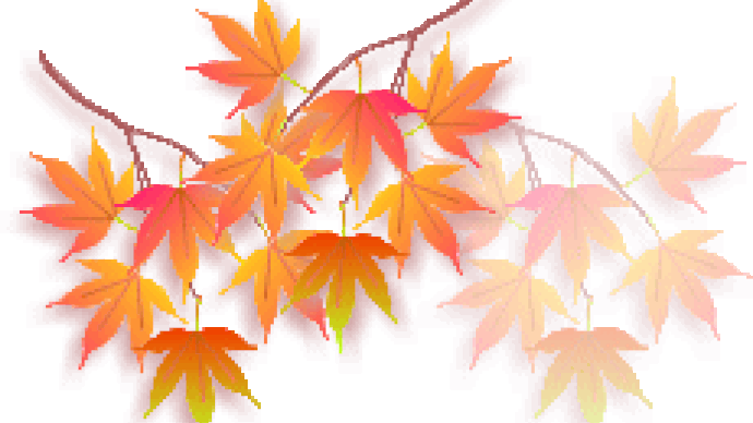 霜月