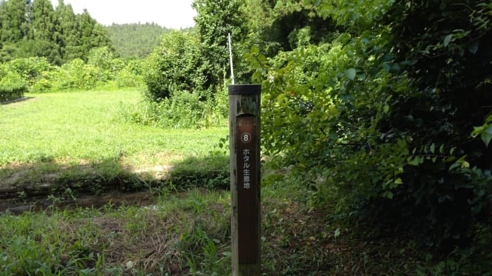 阿賀野市うららの森