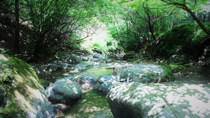 碧青の渓、丹沢