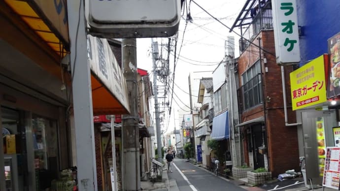 この界隈は日本でも有数のコリアタウン街です！目的店は麺に拘りを持つ店！ホナ！