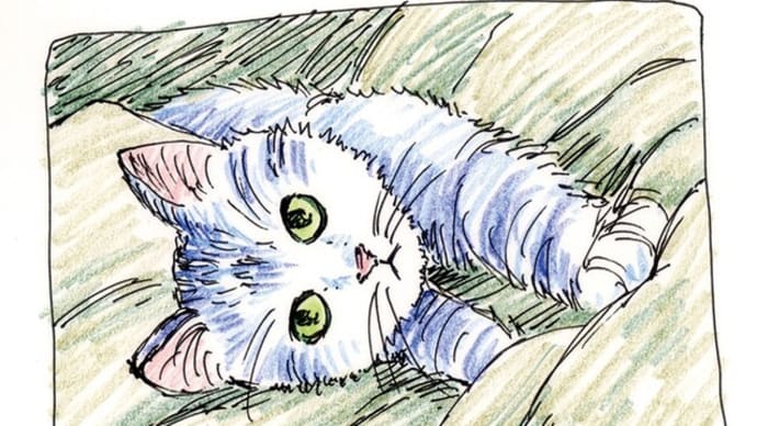 2014年09月07日習作模写等猫。さいはてりと。