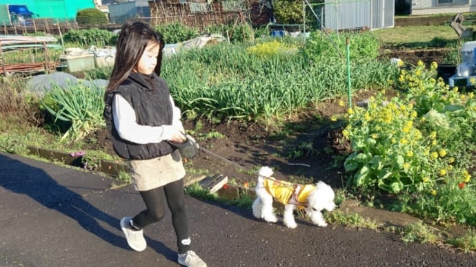 信長いわれの桜🌸と甘みのお話