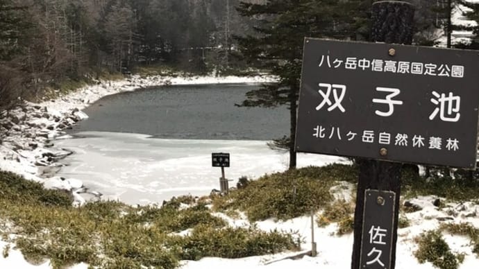 【積雪情報】双子池ヒュッテ周辺の積雪情報 (2023.11.29)
