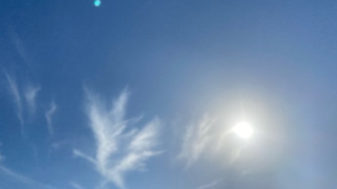 そろそろ来年の占い、調整して準備です